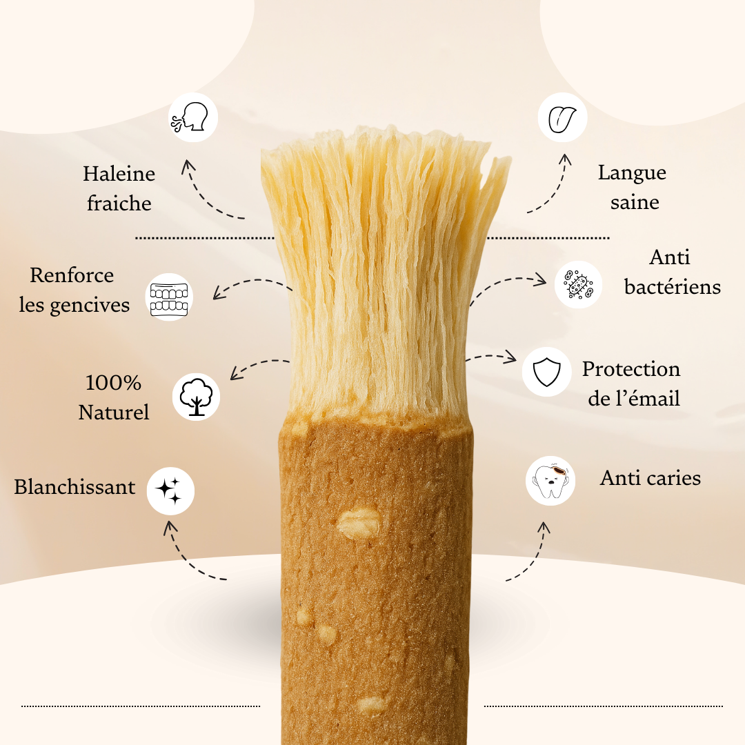 Miswak - 5 saveurs différentes